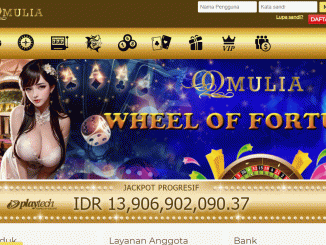 QQMULIA